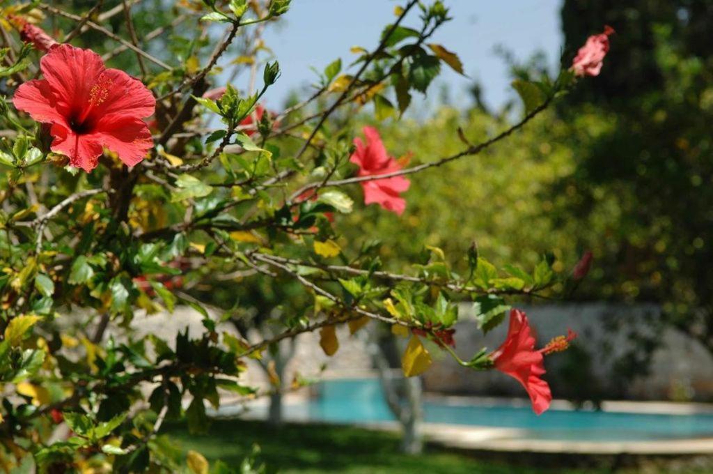 Hotel Martha 3*