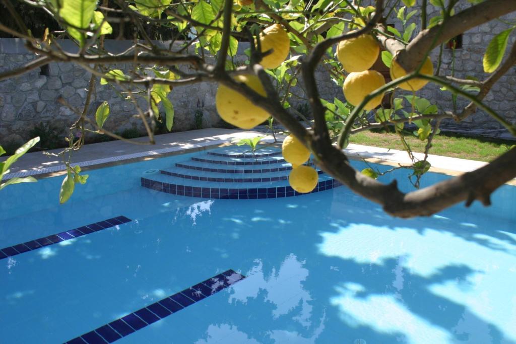Hotel Martha 3*
